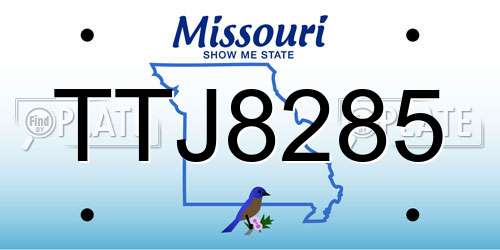 TTJ8285 Missouri License Plate