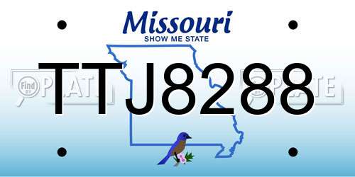 TTJ8288 Missouri License Plate