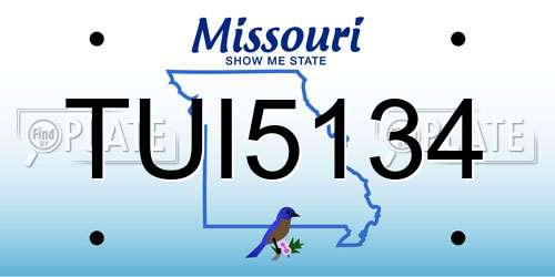 TUI5134 Missouri License Plate