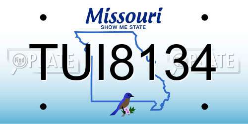 TUI8134 Missouri License Plate