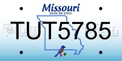 TUT5785 Missouri License Plate