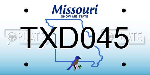 TXD045 Missouri License Plate