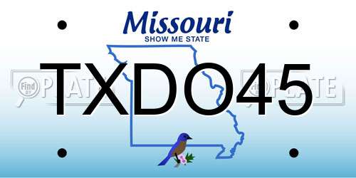 TXDO45 Missouri License Plate