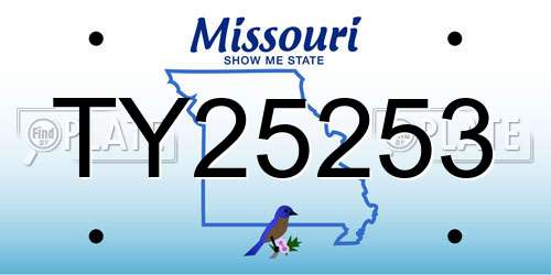 TY25253 Missouri License Plate