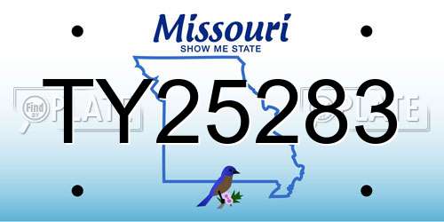 TY25283 Missouri License Plate