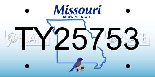 TY25753 Missouri License Plate