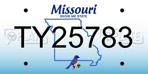 TY25783 Missouri License Plate