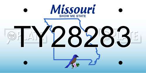 TY28283 Missouri License Plate