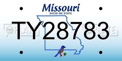 TY28783 Missouri License Plate