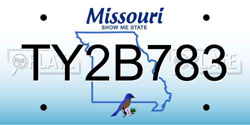 TY2B783 Missouri License Plate