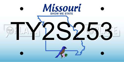 TY2S253 Missouri License Plate
