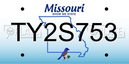 TY2S753 Missouri License Plate