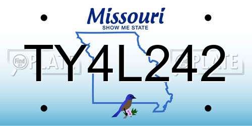 TY4L242 Missouri License Plate