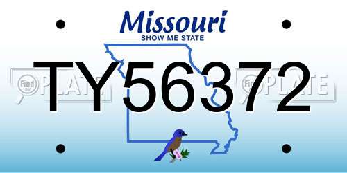 TY56372 Missouri License Plate