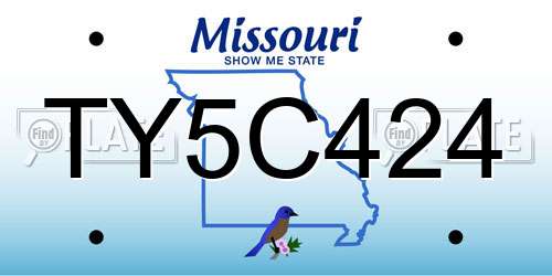 TY5C424 Missouri License Plate