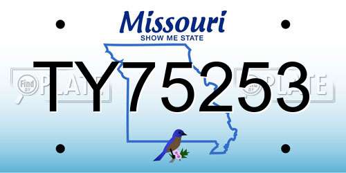 TY75253 Missouri License Plate