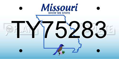 TY75283 Missouri License Plate