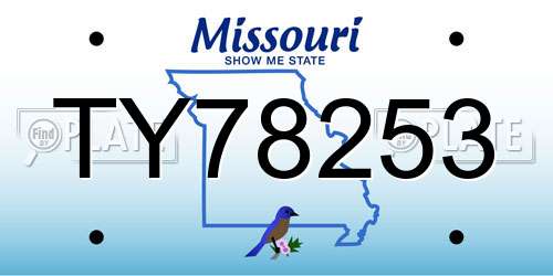 TY78253 Missouri License Plate