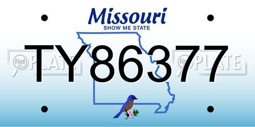 TY86377 Missouri License Plate