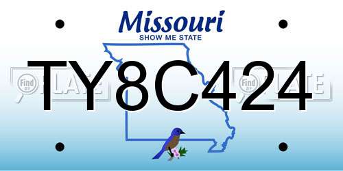 TY8C424 Missouri License Plate