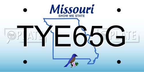 TYE65G Missouri License Plate