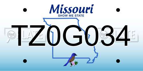 TZ0G034 Missouri License Plate