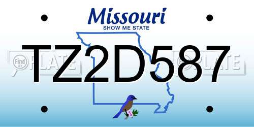 TZ2D587 Missouri License Plate