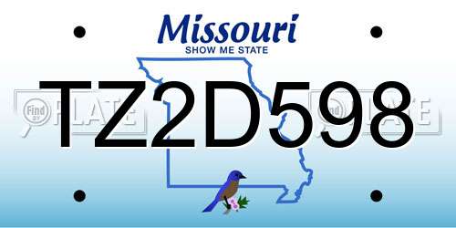 TZ2D598 Missouri License Plate