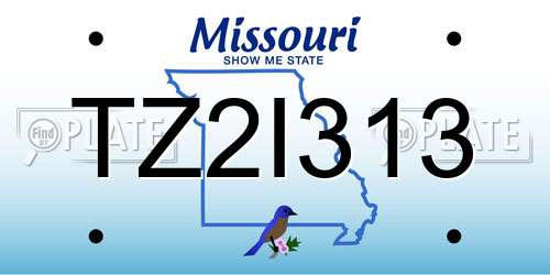 TZ2I313 Missouri License Plate