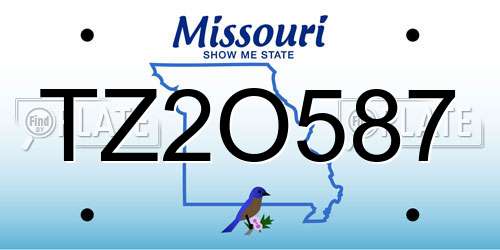 TZ2O587 Missouri License Plate