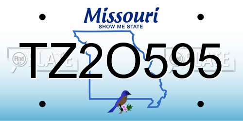 TZ2O595 Missouri License Plate