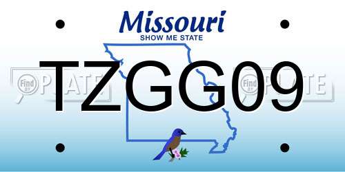 TZGG09 Missouri License Plate