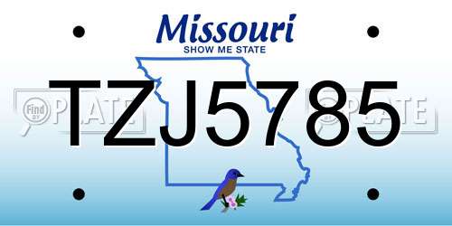 TZJ5785 Missouri License Plate
