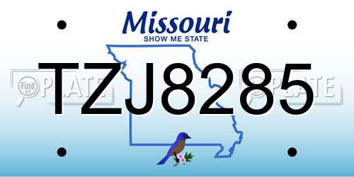 TZJ8285 Missouri License Plate