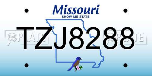 TZJ8288 Missouri License Plate