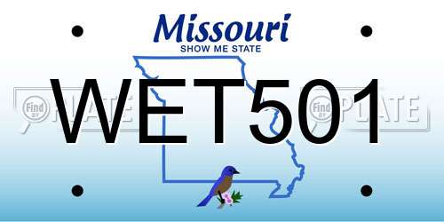 WET501 Missouri License Plate