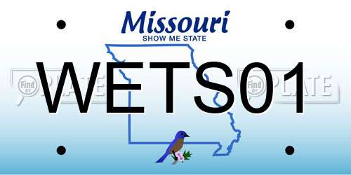 WETS01 Missouri License Plate