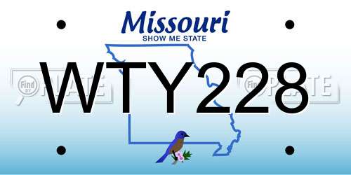 WTY228 Missouri License Plate