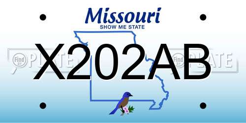 X202AB Missouri License Plate
