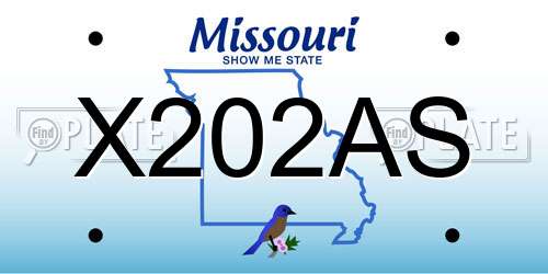 X202AS Missouri License Plate