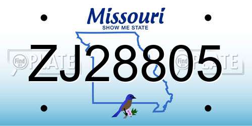 ZJ28805 Missouri License Plate