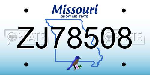 ZJ78508 Missouri License Plate