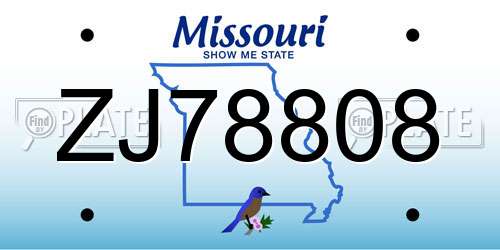 ZJ78808 Missouri License Plate