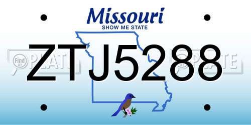 ZTJ5288 Missouri License Plate