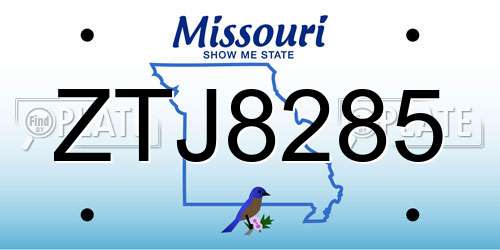 ZTJ8285 Missouri License Plate
