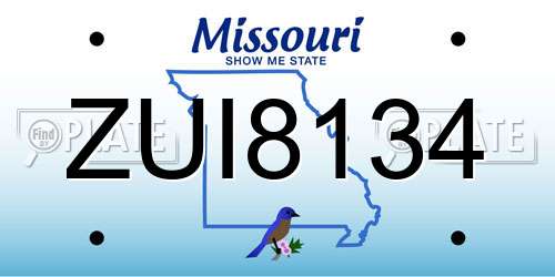 ZUI8134 Missouri License Plate