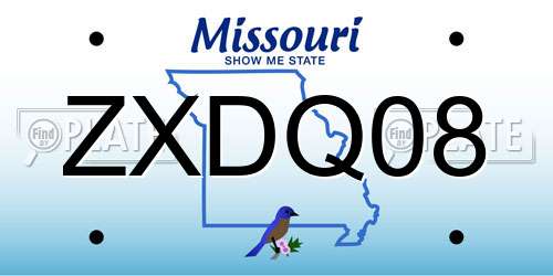 ZXDQ08 Missouri License Plate