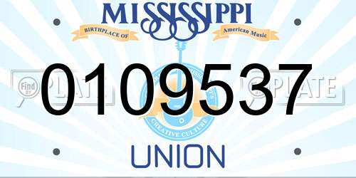 0109537 Mississippi License Plate