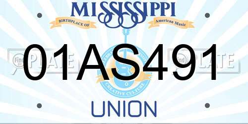 01AS491 Mississippi License Plate
