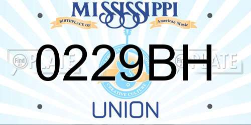 0229BH Mississippi License Plate
